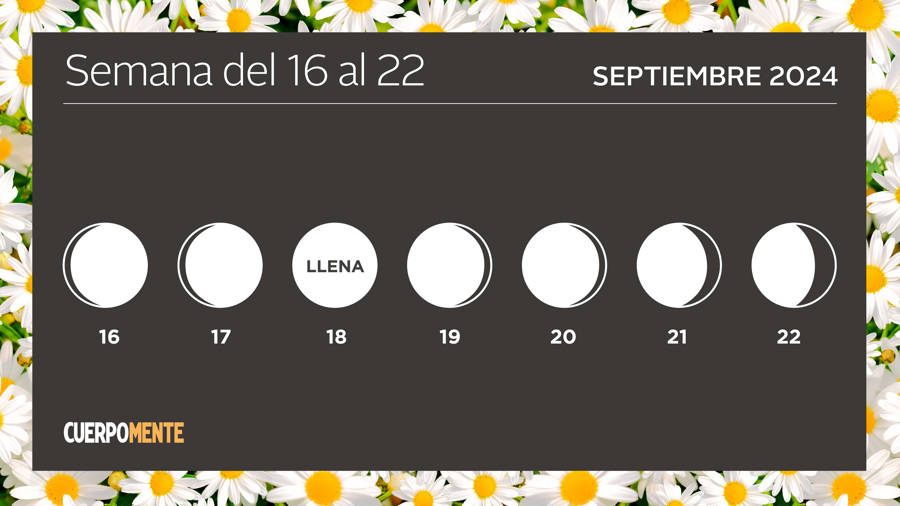 Luna hoy calendario lunar del 16 al 22 de septiembre 2024