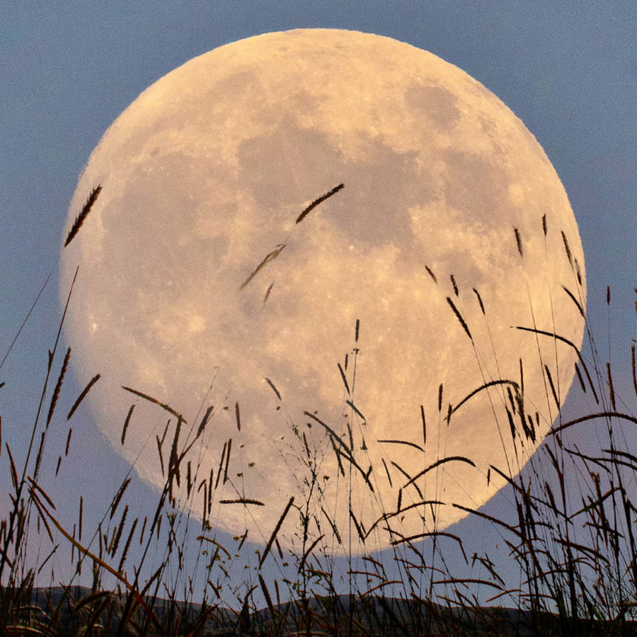 luna llena de septiembre 2024