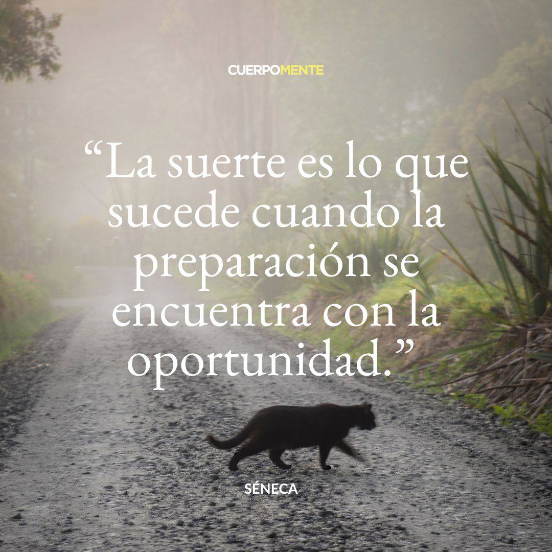 7. “La suerte es lo que sucede cuando la preparación se encuentra con la oportunidad”. Séneca