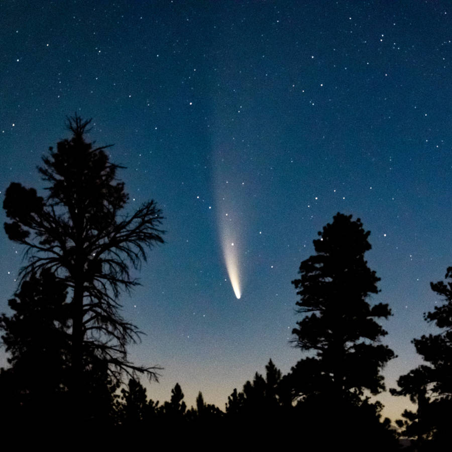 Llega el "Cometa del siglo": cuáles son los mejores días para ver a simple vista este inusual y espectacular fenómeno