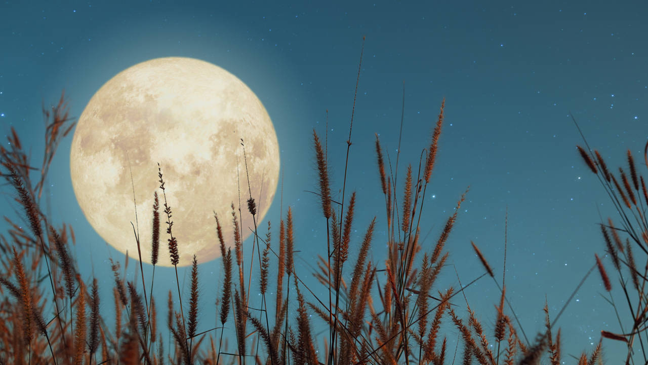 Luna llena de septiembre 2024: cuándo y cómo ver la superluna más espectacular del año