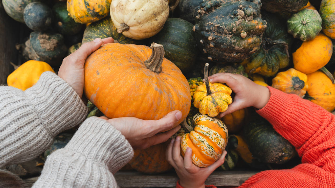 Calabazas