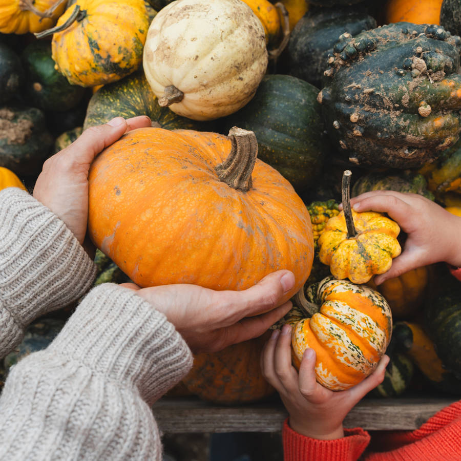 Los 10 tipos de calabaza que te darán un plus de energía en otoño