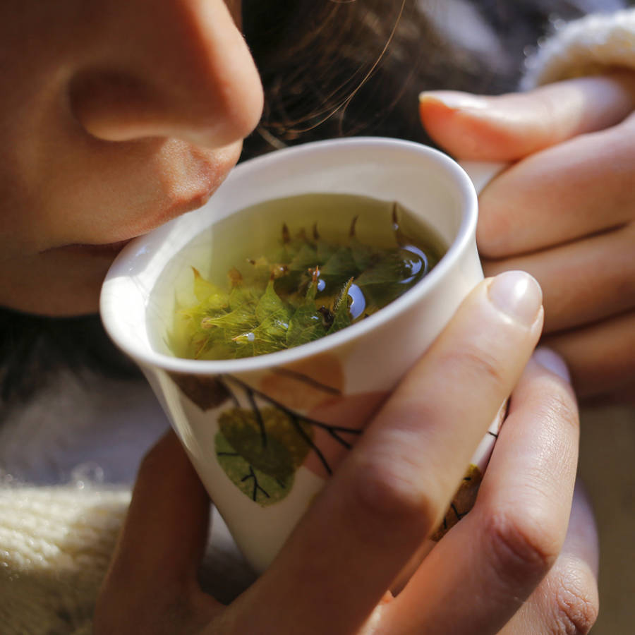 Combina la manzanilla con estas plantas y tendrás una infusión para los gases deliciosa para tomar después de comer