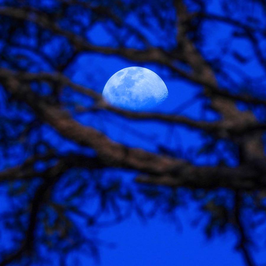 Luna hoy: calendario lunar del 7 al 13 de octubre