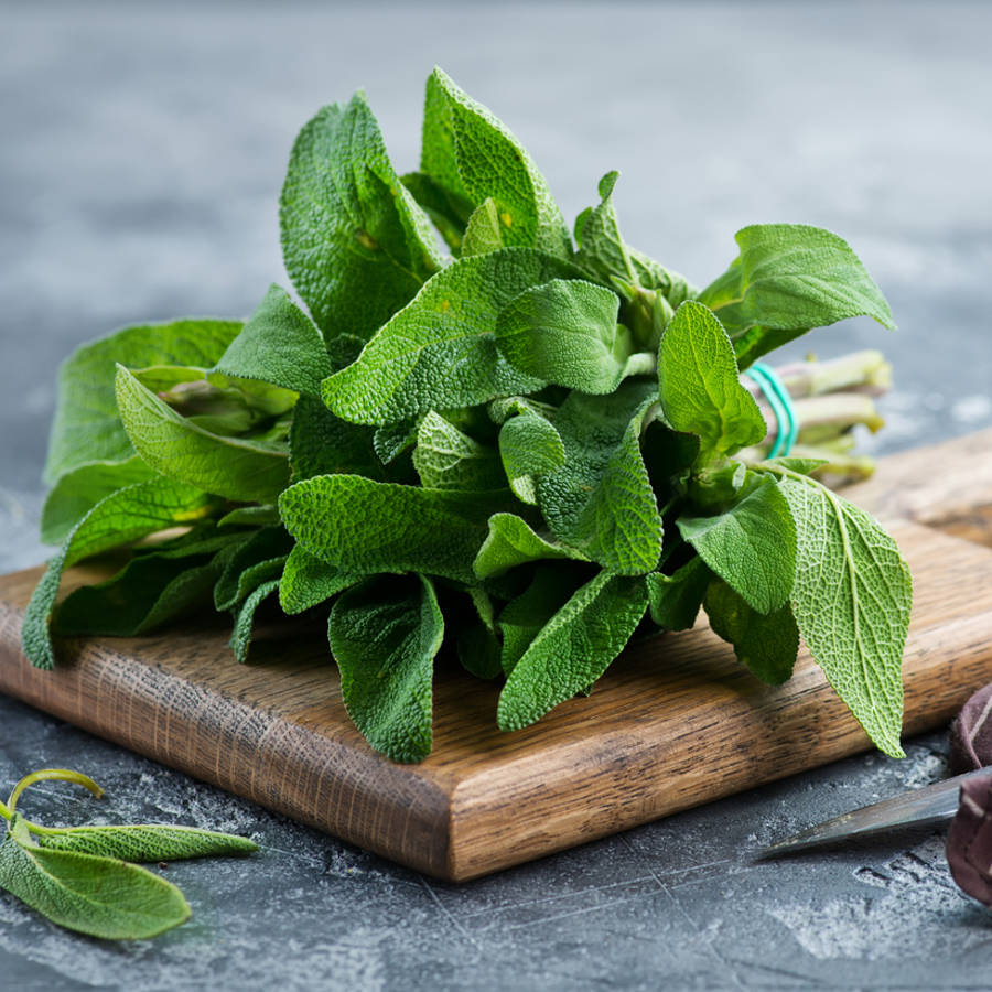 La salvia que plantas para tus recetas es una maravilla para la piel y el cabello: así puedes aprovecharla en tus cosméticos