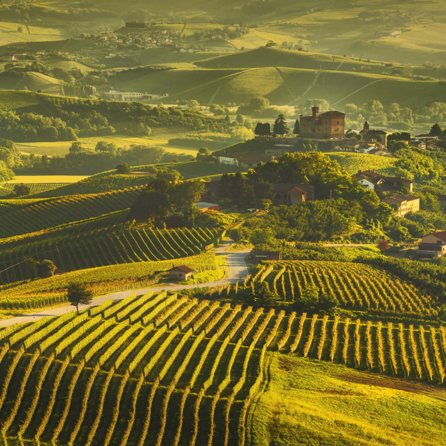 Langhe