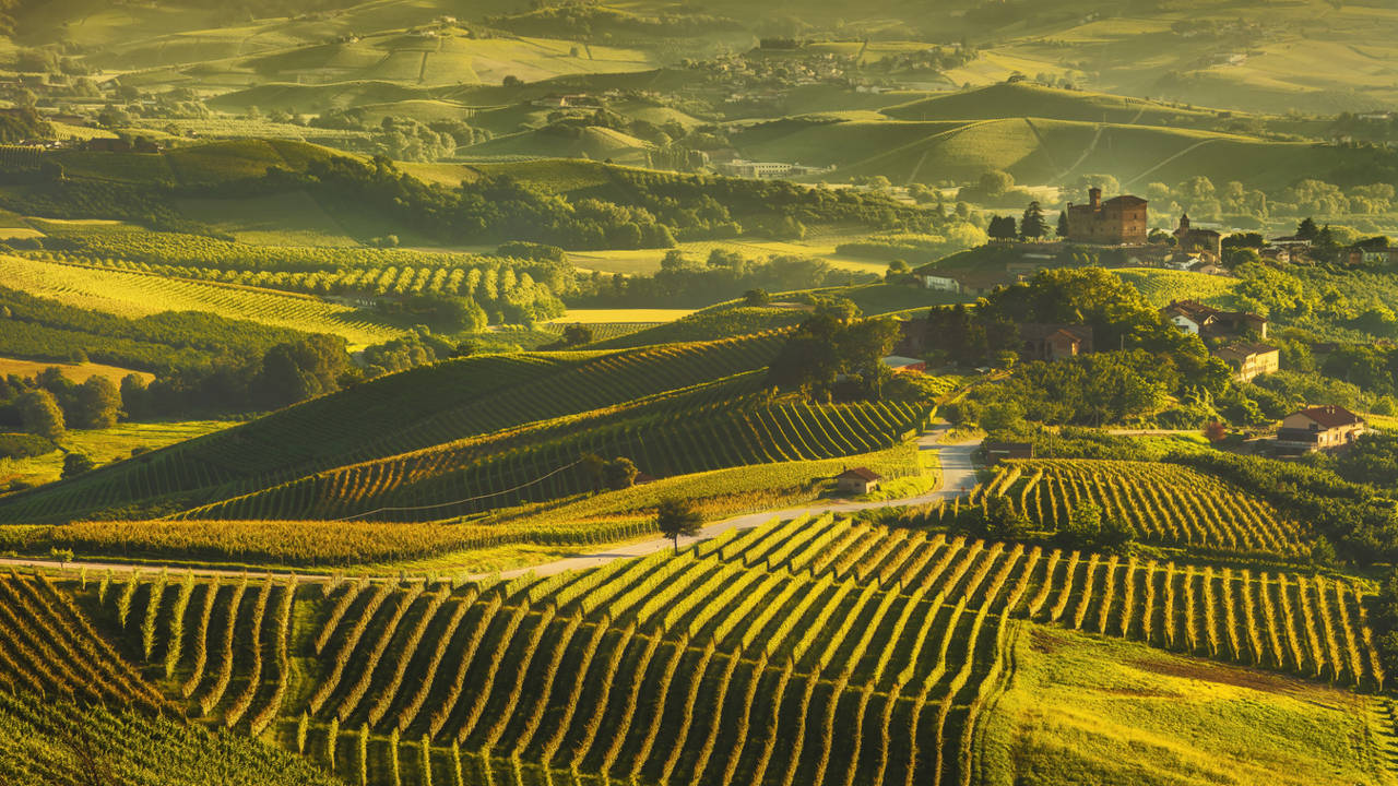 Langhe