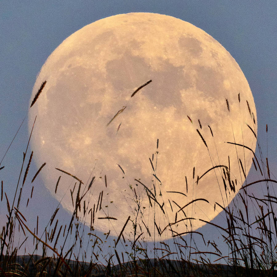 11 poemas sobre la luna que nos conectan con su misterio y nos invitan a soñar