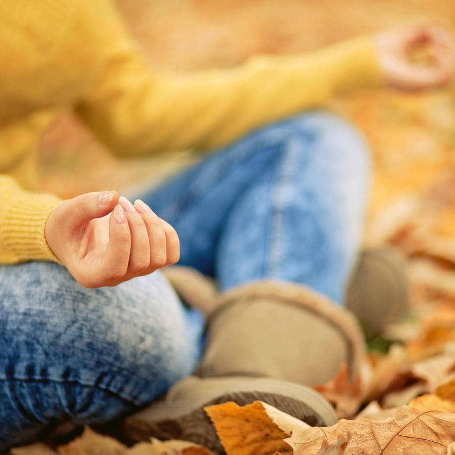 Meditación guiada para soltar lastre y empezar de nuevo (como hacen los árboles en otoño)