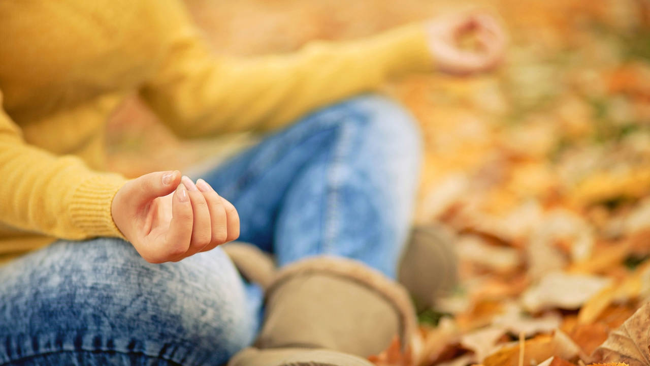 Meditación guiada para soltar lastre y empezar de nuevo (como hacen los árboles en otoño)