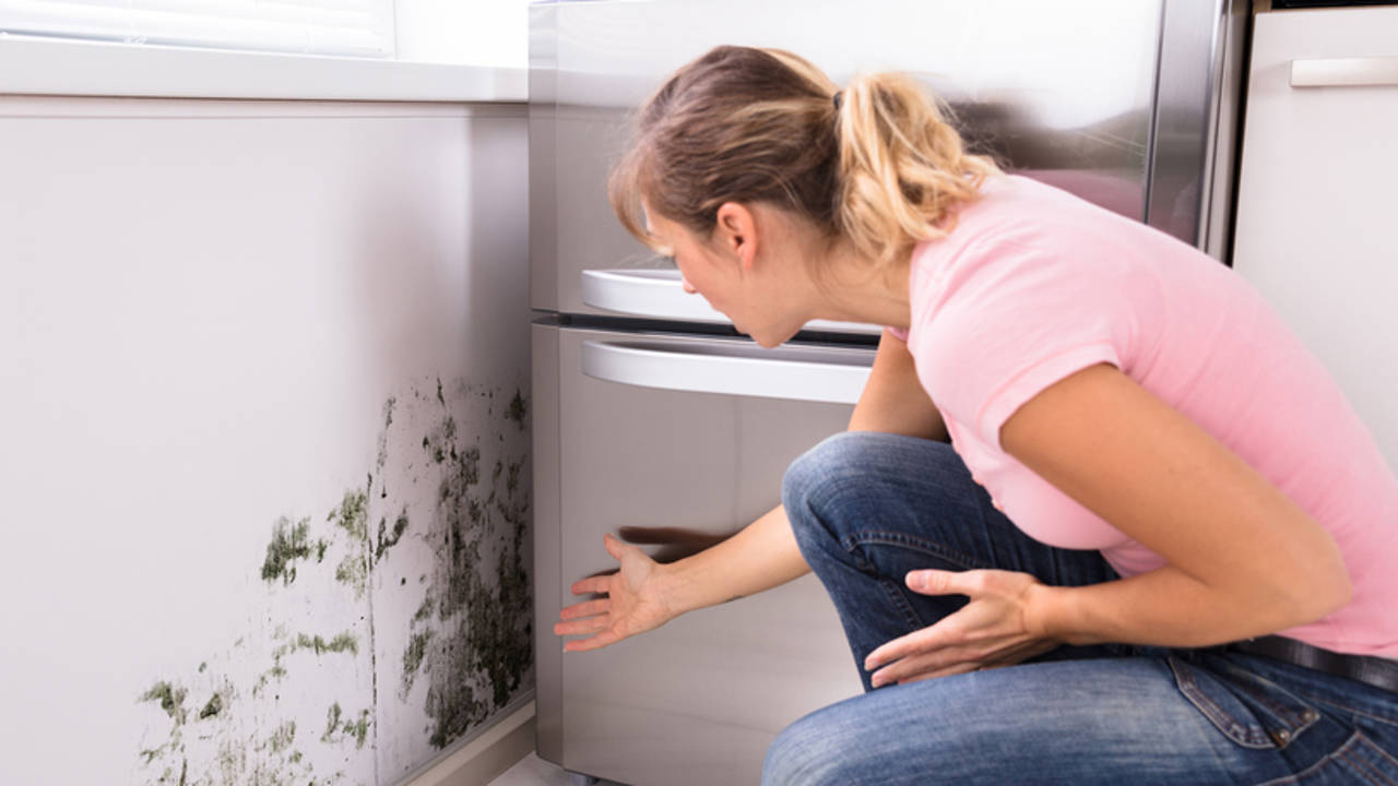 Mujer contemplando el moho tras un electrodoméstico