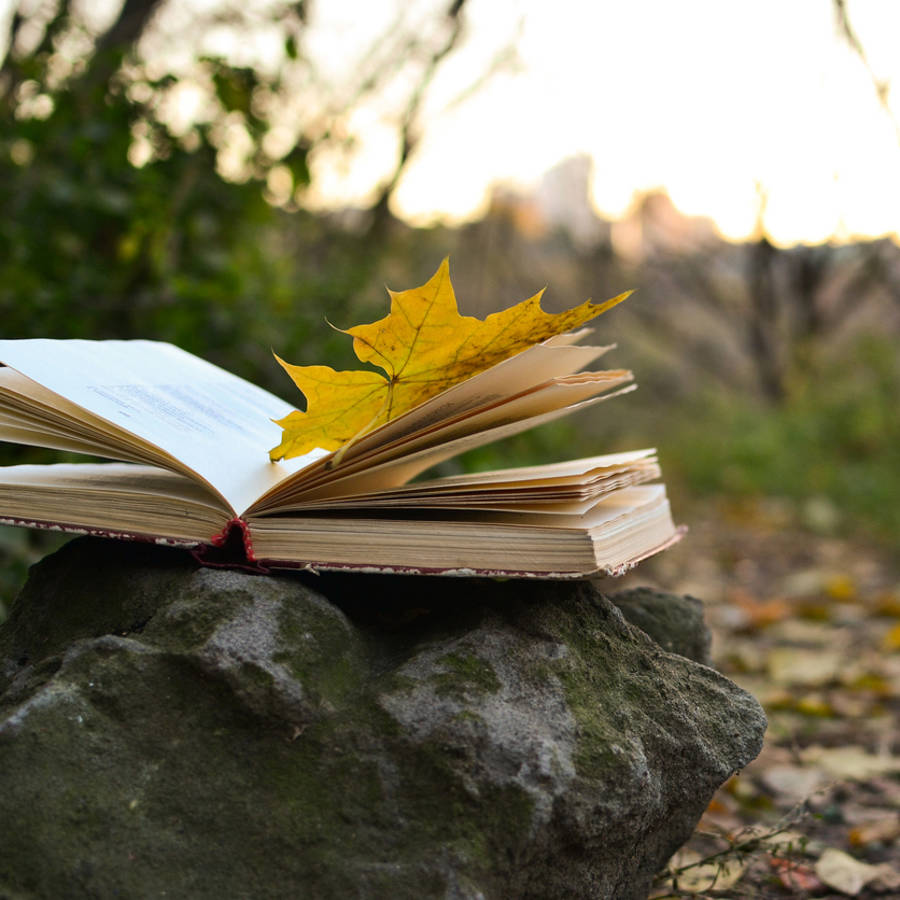 10 poemas de otoño: los versos inolvidables de poetas célebres para disfrutar y compartir