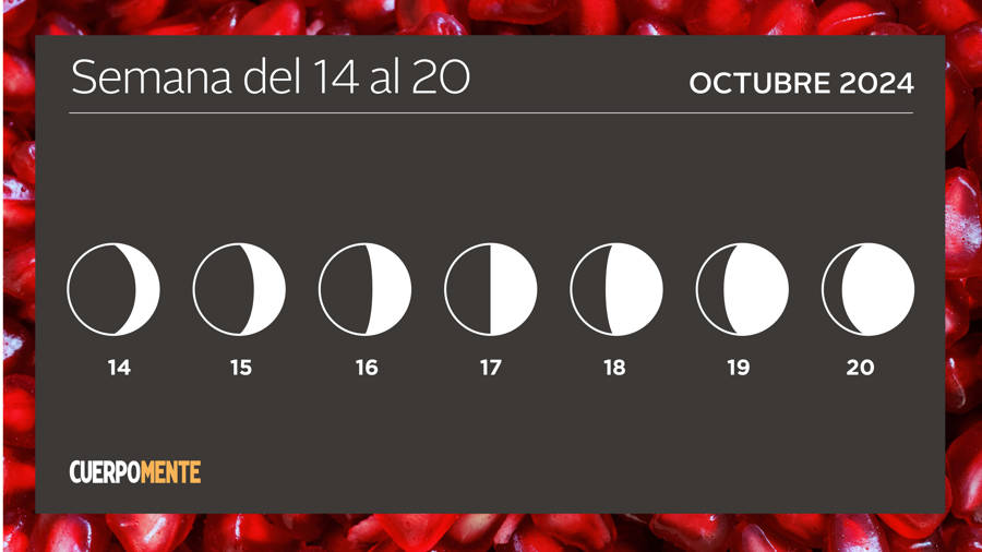 Calendario lunar del 14 al 20 de octubre 2024