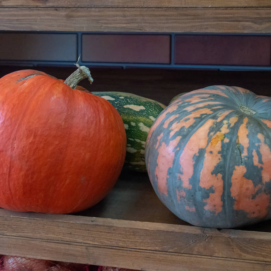 Cómo guardar las calabazas para que duren meses