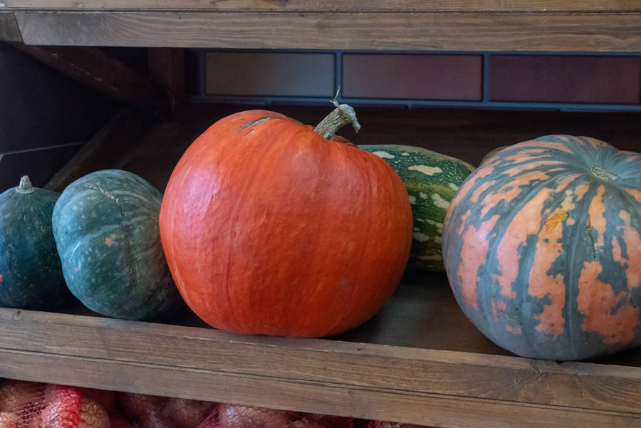 Calabazas almacenadas