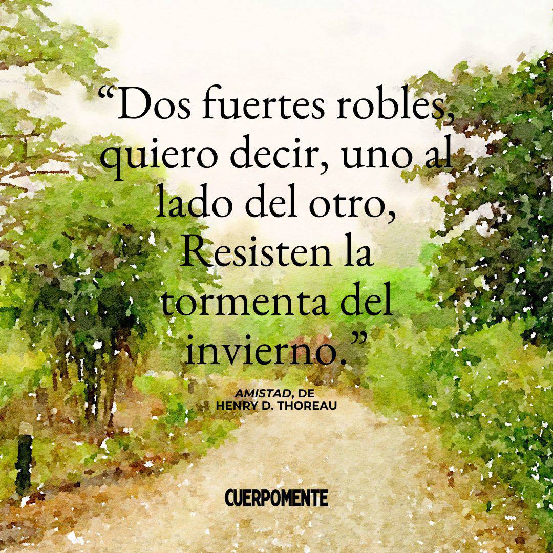 Poemas de Henry D Thoreau: Amistad 