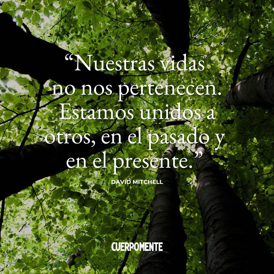 Frases Feliz Dia Todos los Santos: “Nuestras vidas no nos pertenecen. Estamos unidos a otros, en el pasado y en el presente.” David Mitchell