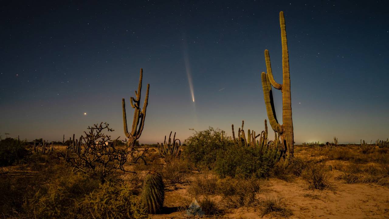 Cometa C 2023 A3 Tsuchinshan atlas