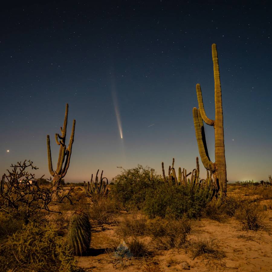 Última hora del 'cometa del siglo': las imágenes más impactantes captadas desde diferentes lugares del mundo