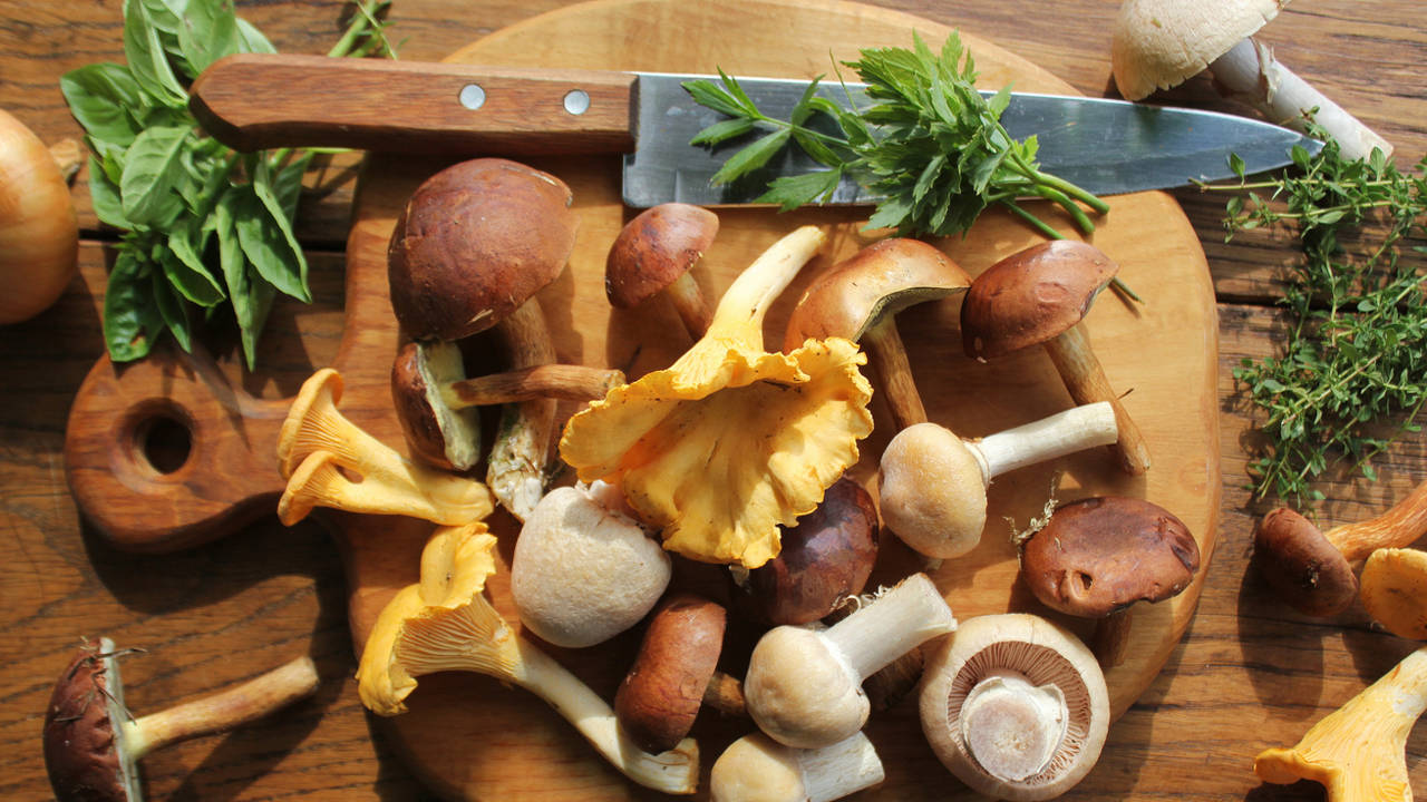 Recetas fáciles y deliciosas con boletus, la mejor seta del mundo