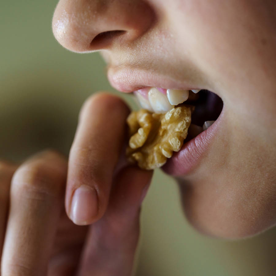 El Dr. Mau revela las 5 cosas que pasan en tu cuerpo cuando comes nueces y semillas