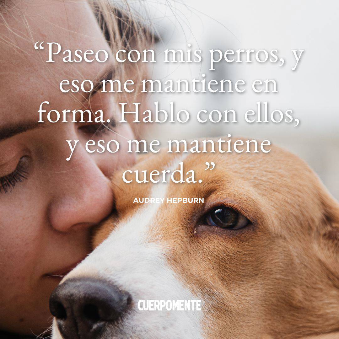 "Paseo con mis perros, y eso me mantiene en forma. Hablo con ellos, y eso me mantiene cuerda." Audrey Hepburn