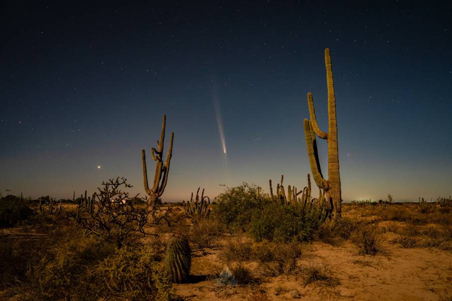 Cometa C 2023 A3 Tsuchinshan atlas