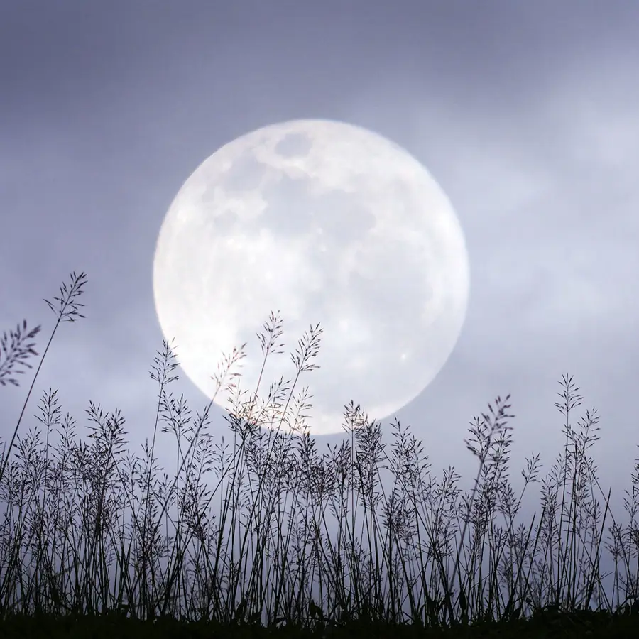 Calendario lunar de noviembre 2024: fases lunares, siembra y corte de pelo