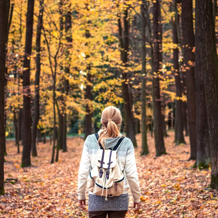 El bosque más espectacular de Cataluña para cargarte de energía en otoño y disfrutar en familia