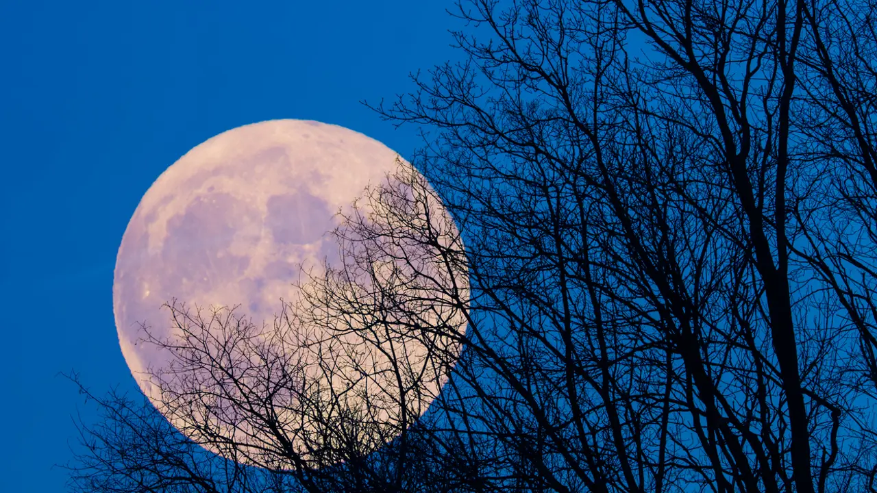 Luna llena de noviembre