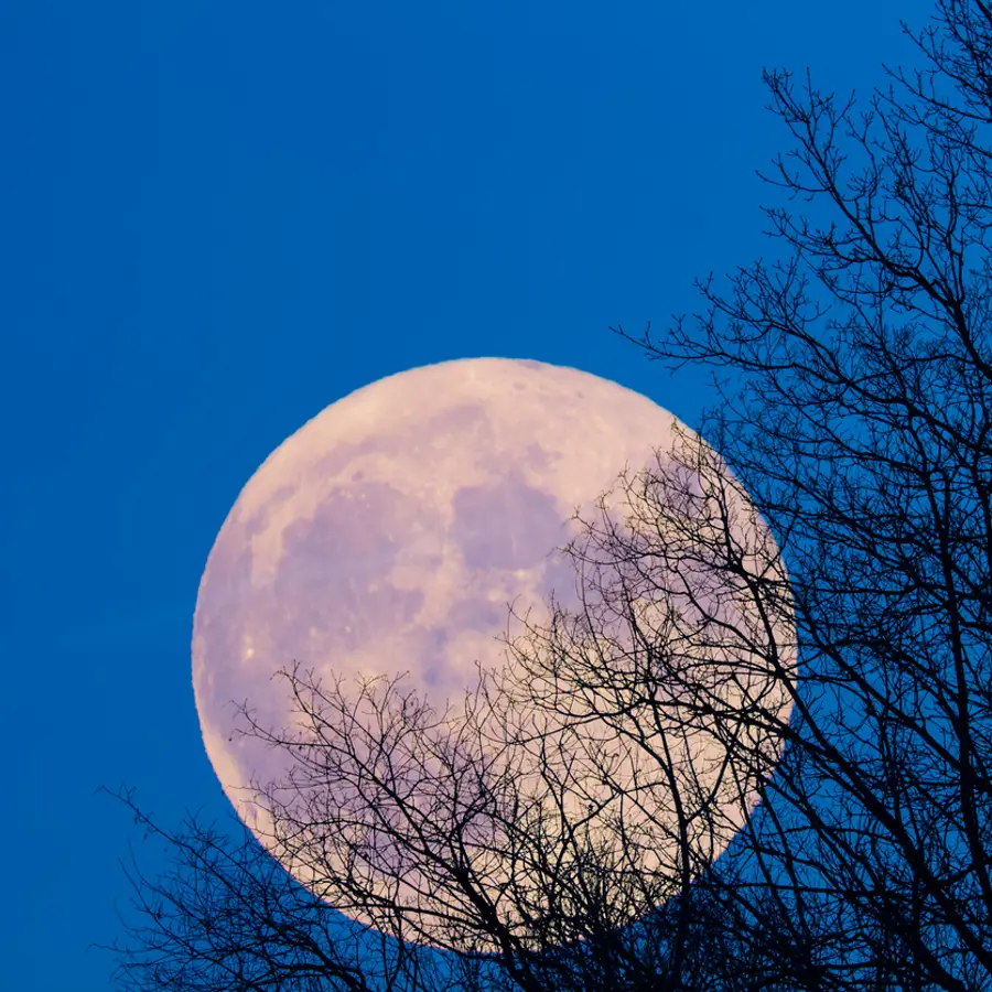 Luna llena de noviembre