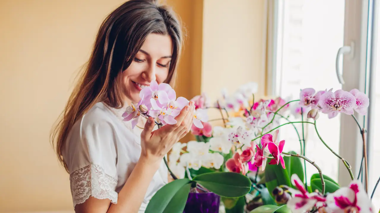 Mujer admirando sus orquídeas