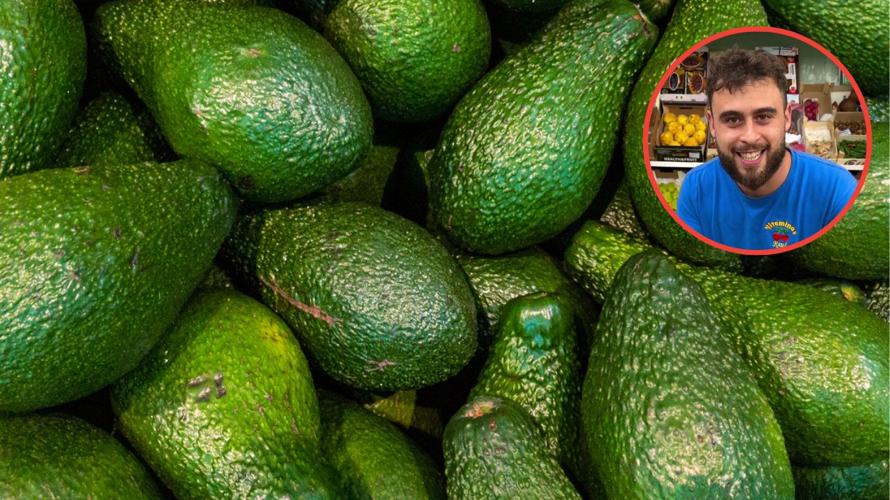 Aguacate frutero