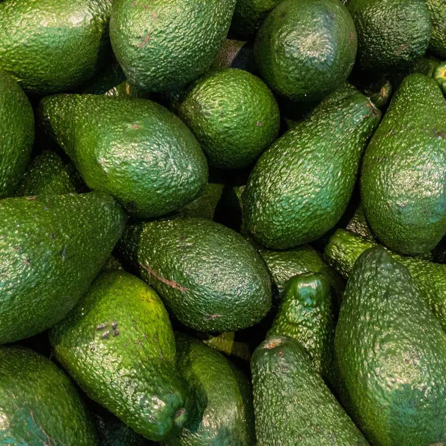 Aguacate