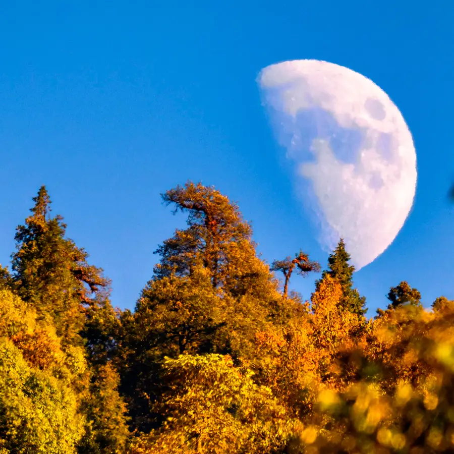 Luna hoy: calendario lunar del 2 al 8 de diciembre 2024