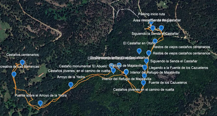 Ruta por el castañar de El Tiemblo