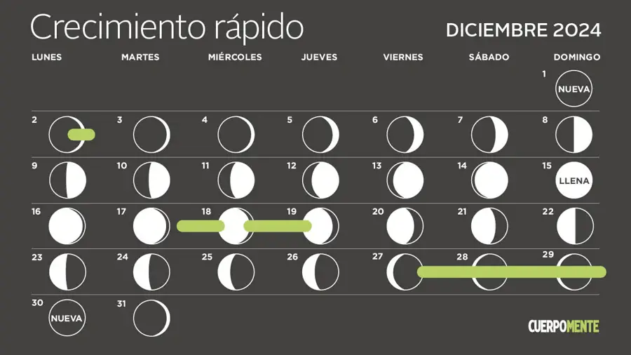 Calendario lunar diciembre 2024: los mejores días para cortarse el pelo y que crezca rápido