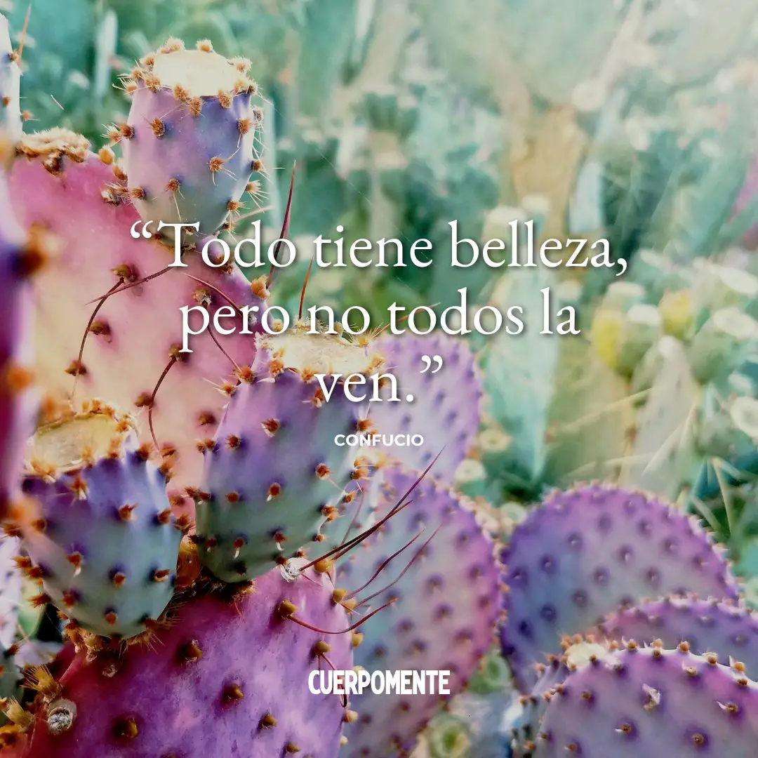 Frase de Confucio: "Todo tiene belleza, pero no todos la ven."