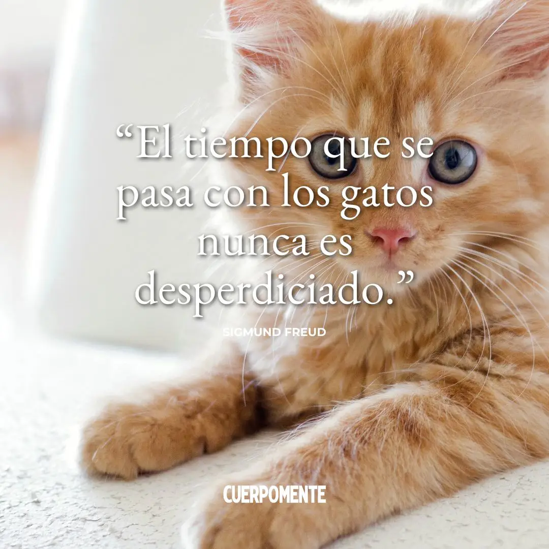 Frases de Freud: "El tiempo que se pasa con los gatos nunca es desperdiciado."