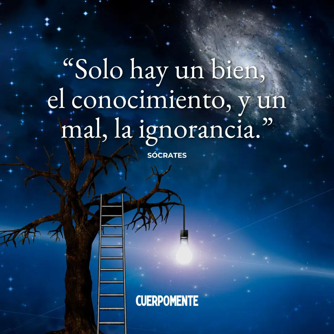 Frases de Sócrates: "Solo hay un bien, el conocimiento, y un mal, la ignorancia."