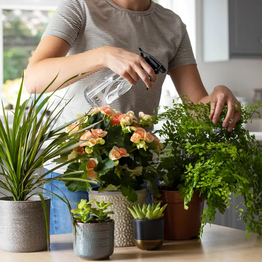  El truco de los viveristas ecológicos para que las plantas crezcan bonitas y sanas todo el año