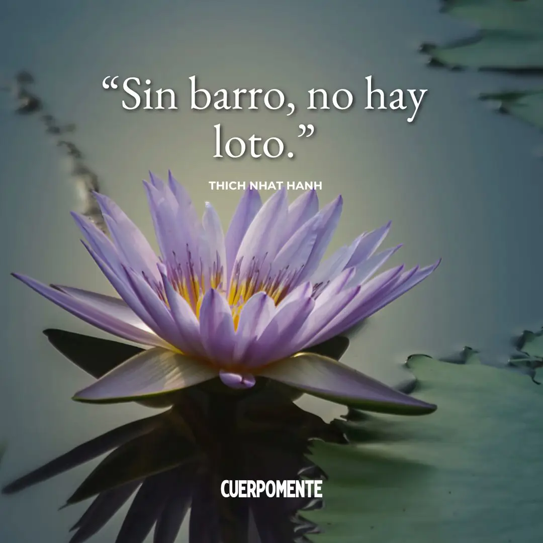 Frases de Thich Nhat Hanh (5): "Sin barro, no hay loto."