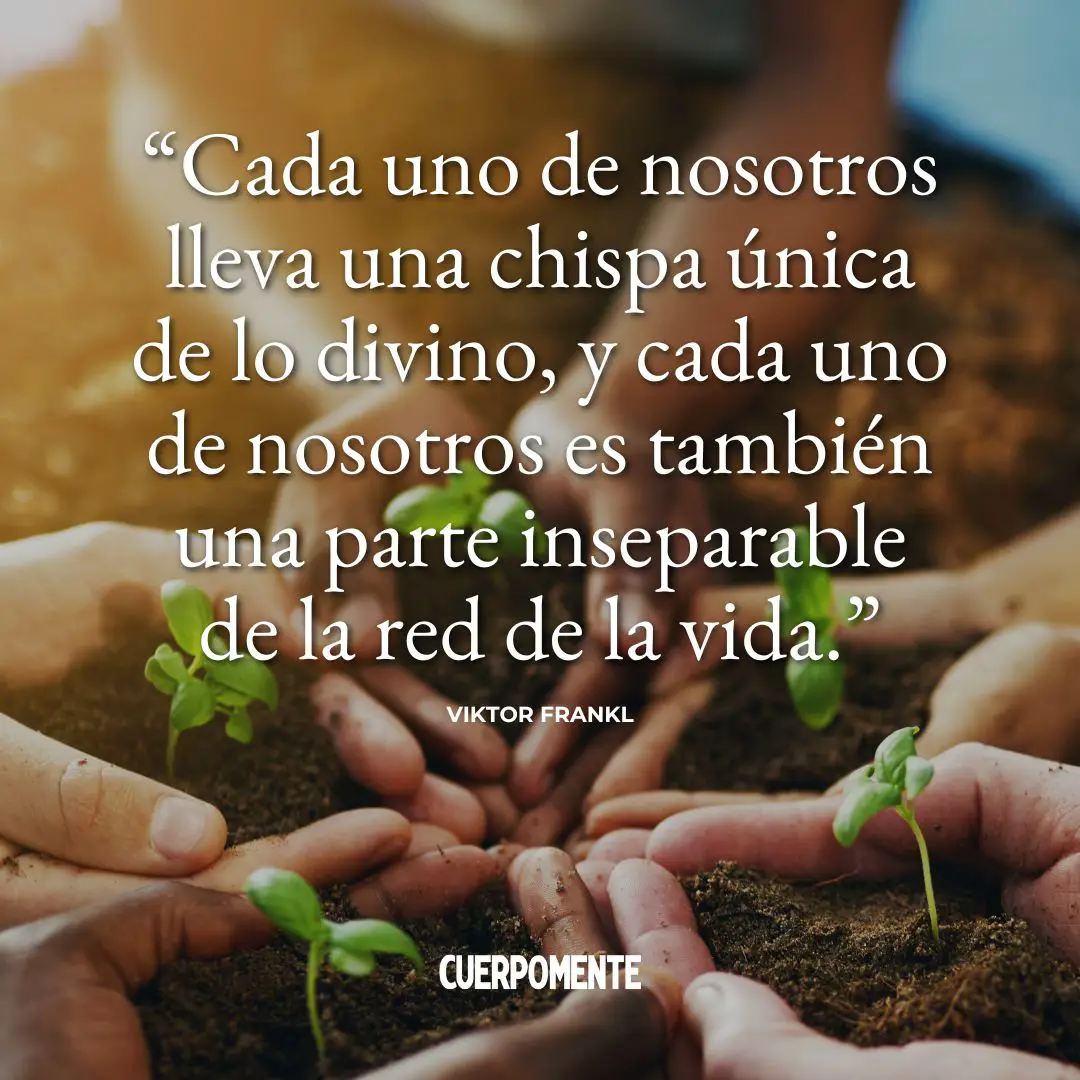 Frases de Viktor Frankl 1: "Cada uno de nosotros lleva una chispa única de lo divino, y cada uno de nosotros es también una parte inseparable de la red de la vida."