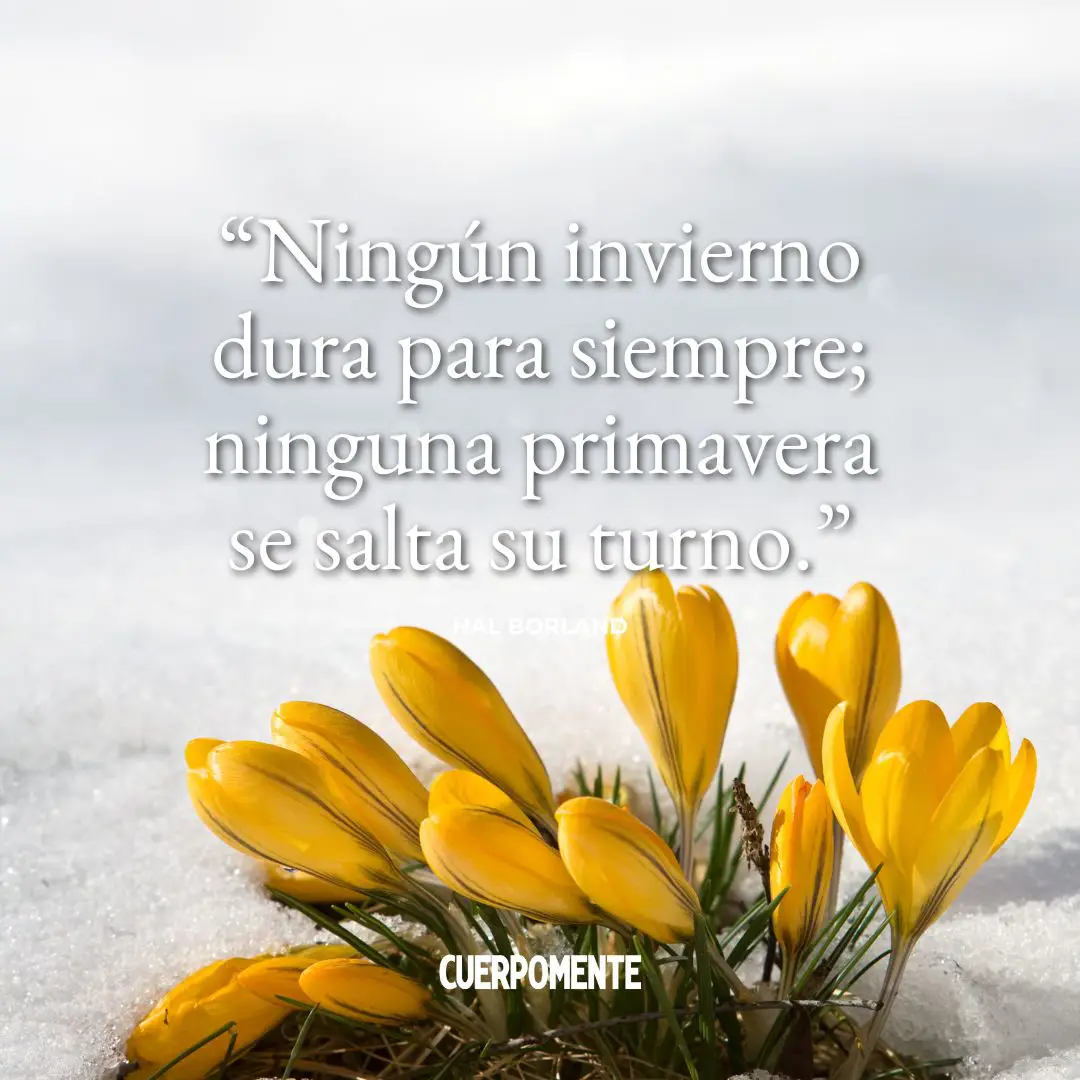 Frases motivadoras de invierno: "Ningún invierno dura para siempre; ninguna primavera se salta su turno." Hal Borland