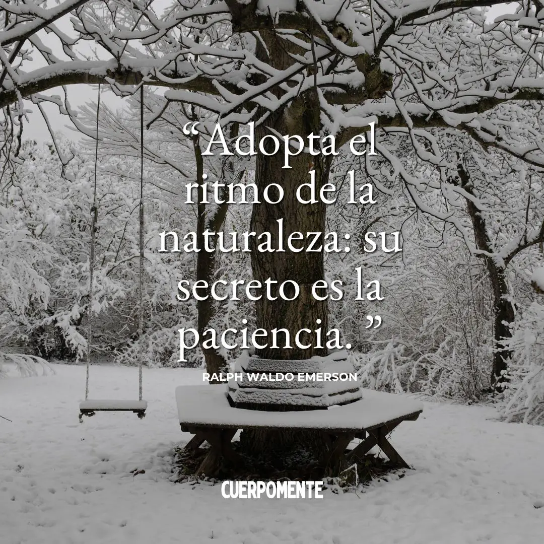 Frases motivadoras de invierno (5): "Adopta el ritmo de la naturaleza: su secreto es la paciencia." (Ralph Waldo Emerson)