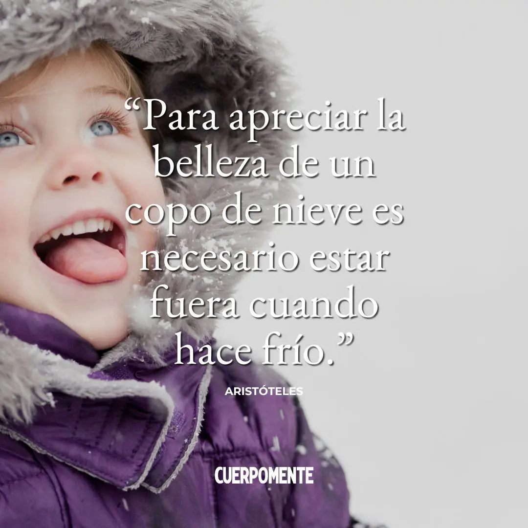 Frases motivadoras de invierno: "Para apreciar la belleza de un copo de nieve es necesario estar fuera cuando hace frío." Aristóteles