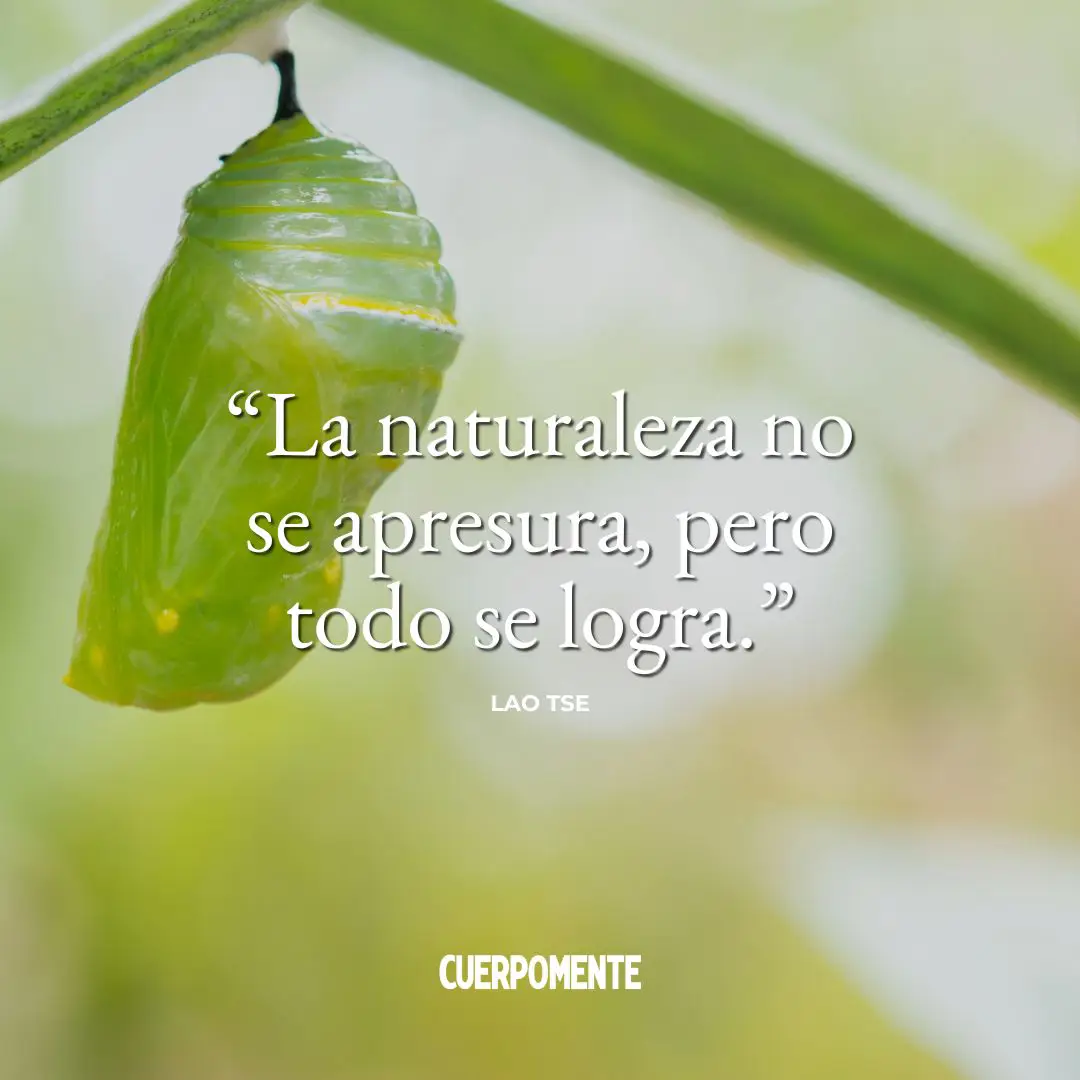 Frases Lao Tse: La naturaleza no se apresura, pero todo se logra.”