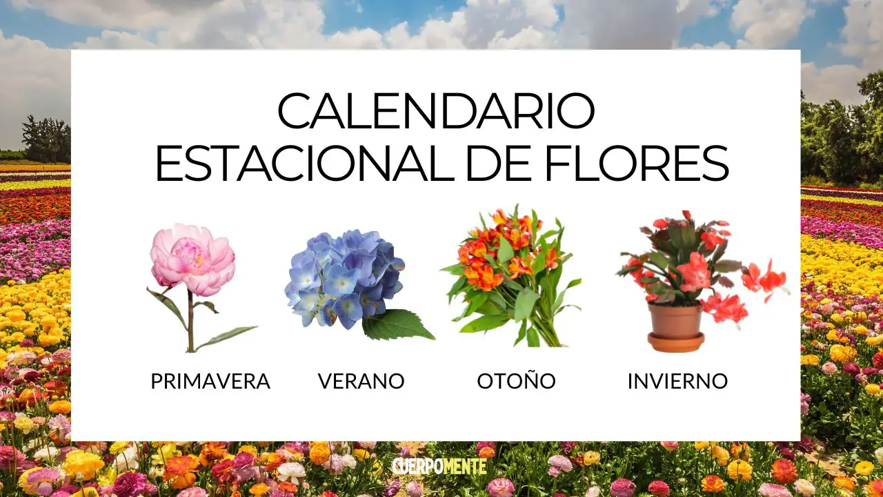 Calendario de flores por temporada