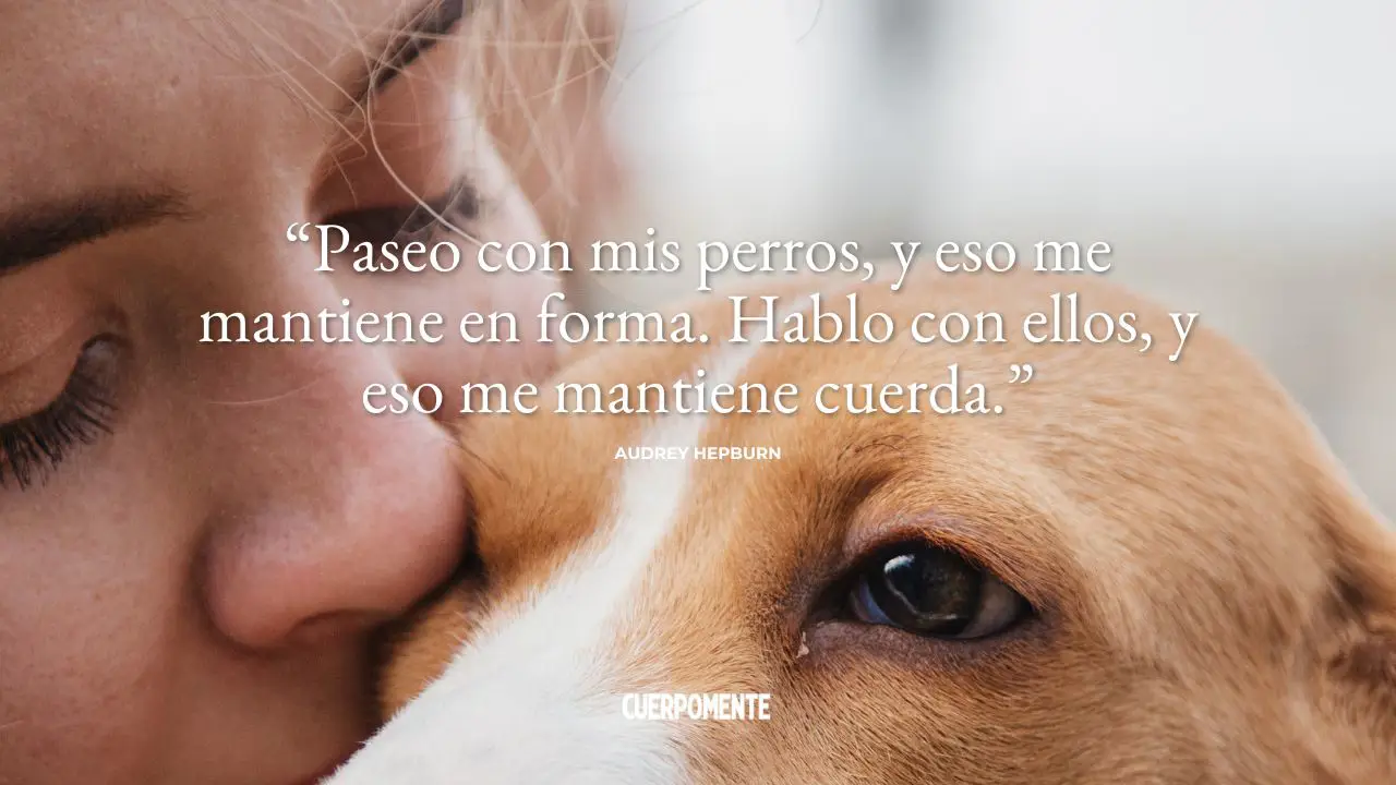 Frases de perros emotivas